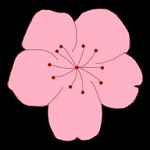 91视频在线APPAPP应用